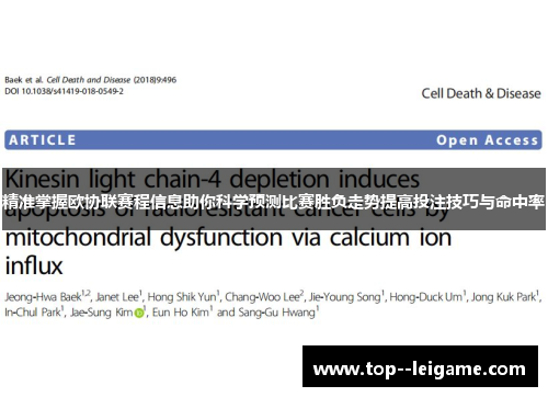 精准掌握欧协联赛程信息助你科学预测比赛胜负走势提高投注技巧与命中率